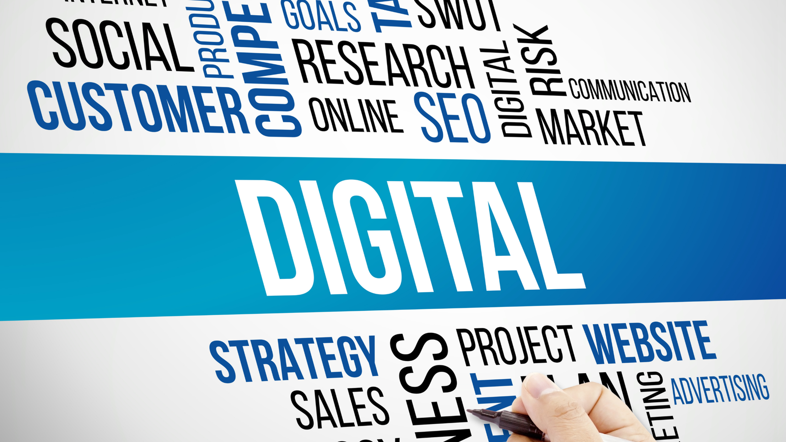 Digital Marketing Company for Small Business charlotte nc