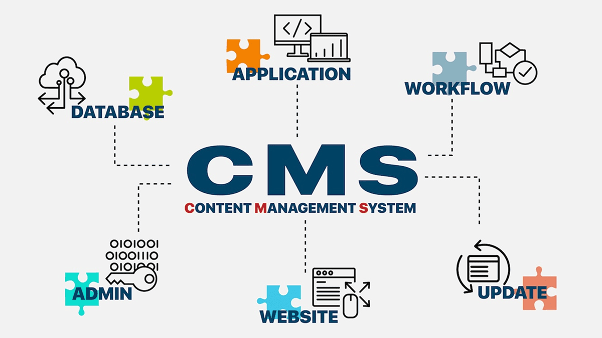 Why WordPress Is the Best CMS for Business Websites