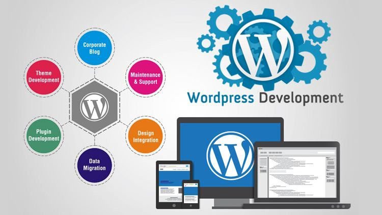 Why Businesses Choose WordPress for Website Development